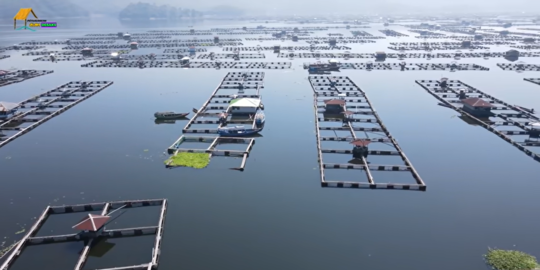 Mengintip Keunikan Kampung di Atas Waduk Cirata Cianjur, Ada Warung Terapung Keliling