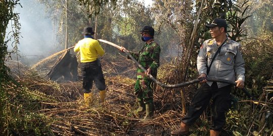 Angin & Akses Sulit Hambat Pemadaman Api yang Bakar Lahan Gambut di Aceh Barat