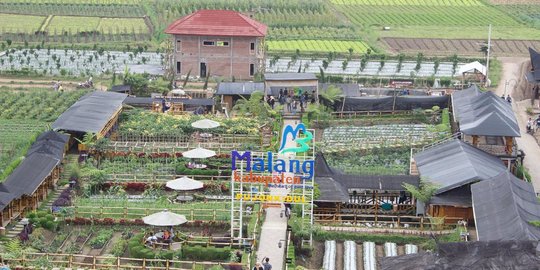 Menilik Desa Wisata Pujon Kidul di Malang, Tawarkan Suasana Segar Khas Pedesaan
