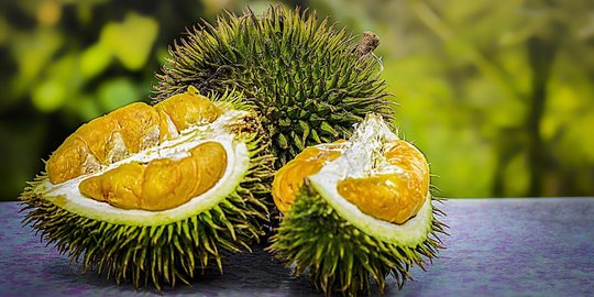 Gara-gara Durian, Petugas Damkar Australia Ini Mengira Ada Kebocoran Gas