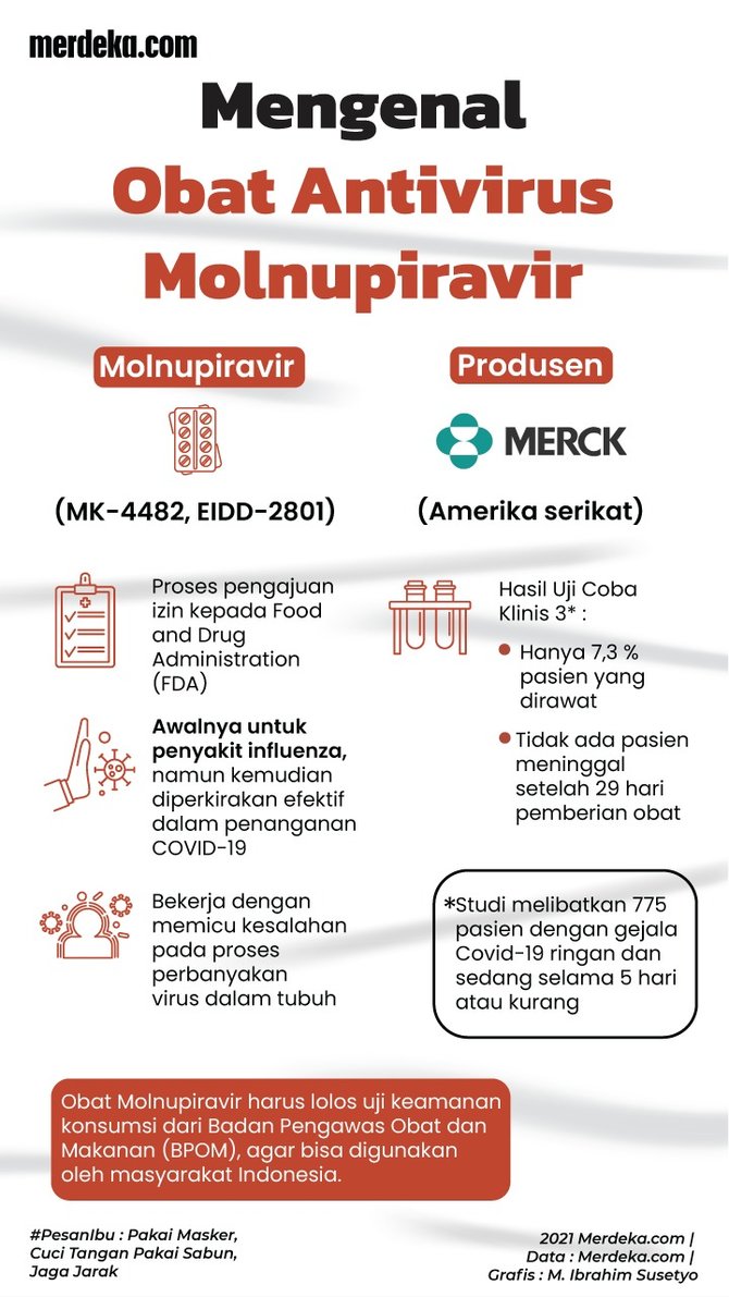 infografis mengenal obat antivirus molnupiravir