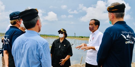 Komisi VI DPR Dukung Semangat Jokowi Benahi BUMN