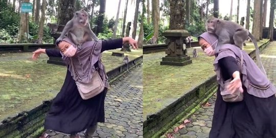 Joget Sambil Gendong Monyet, Keberanian Emak-Emak Ini Bikin Geleng-Geleng