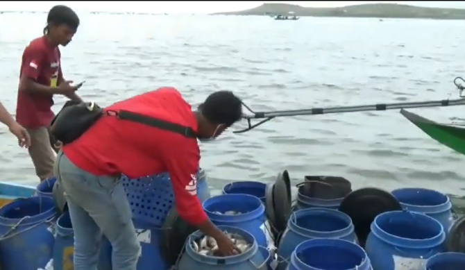 petani ikan di waduk jatiluhur purwakarta terjebak eceng gondok