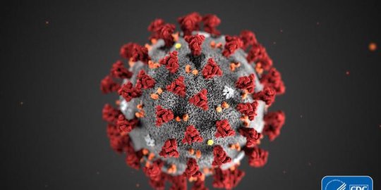 Israel Laporkan Kasus Virus Corona Mutasi Varian Delta