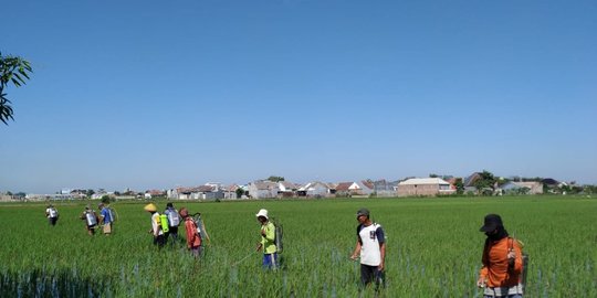 Inovasi E-Agriculture Dinilai Jadi Kunci Atasi Masalah Kerawanan Pangan