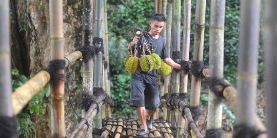 Diwariskan Leluhur, Begini Cara Warga Baduy Jaga Hutan Lindung Seluas 3.000 Hektare