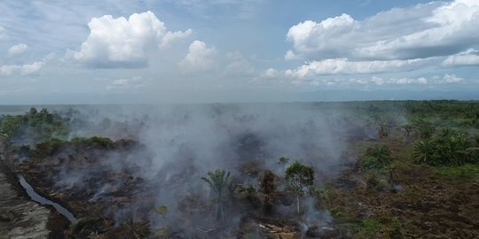 Kebakaran Lahan Seluas 29 Hektare di Ogan Ilir Berhasil Dipadamkan