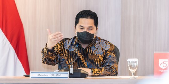 Erick Thohir Dorong PLN Lakukan Transformasi Energi Bersih dan Hijau