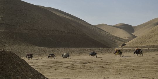 Potret Warga di Pelosok Afghanistan Dilanda Kekeringan