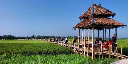 Unggulkan Nuansa Agrowisata, Begini Serunya Berwisata di Desa Paloh Naga