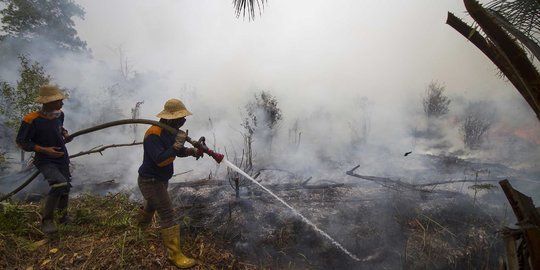 KLHK Tetap antisipasi Kebakaran Hutan dan Lahan Meski Terjadi La Nina