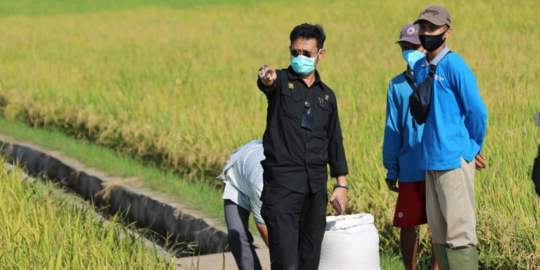 Panen Serentak Jadi Bukti Sektor Pertanian Mampu Bertahan di Tengah Pandemi