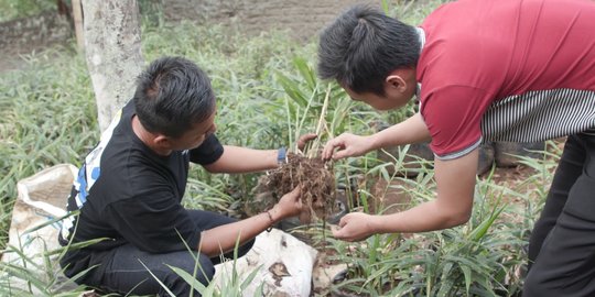 Berani Berubah: Bisnis Restoran Bangkrut, Beralih Jual Minuman Jahe