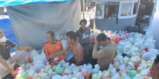 Polisi Bekuk Warga Bali Tangkap Ikan Hias Pakai Potassium di Perairan Berau