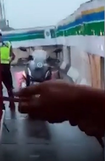 viral sopir truk kena tilang mau bayar denda ditolak polisi minta 1 karung bawang