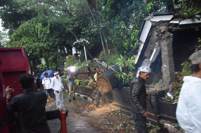 driver ojol tertimpa pohon tumbang di purwakarta