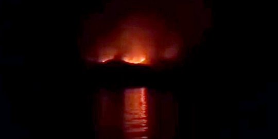 Pulau Rinca Terbakar, Populasi Komodo Dipastikan Aman