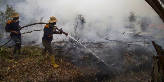 Janji di Atas Ingkar, Sederet Negara Ini Masih Gemar Menggunduli Hutan