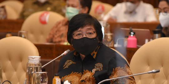 Menteri LHK Jelaskan Alasan Indonesia Masih Lakukan Deforestasi