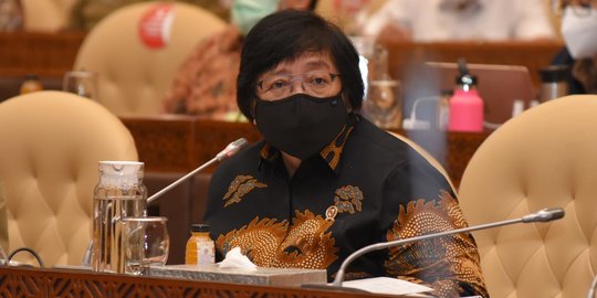 Demokrat Nilai Pernyataan Menteri Siti Soal Deforestasi Menyimpang dari Idealismenya