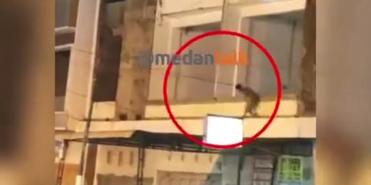 Lompati Gedung Bak Ninja, Begini Aksi Maling di Medan Kabur saat Kepergok Warga