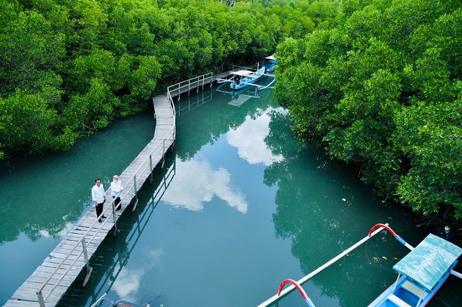 momen ibu iriana temani jokowi susuri hutan mangrove di bali