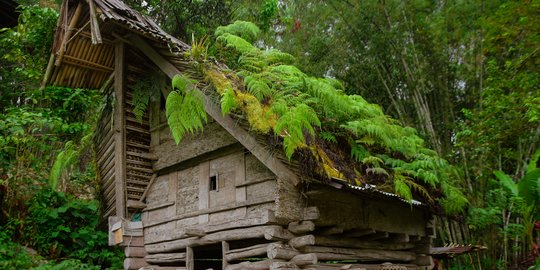 Menyusuri Banua Tamben, Cikal Bakal Rumah Adat Tongkonan Khas Tana Toraja