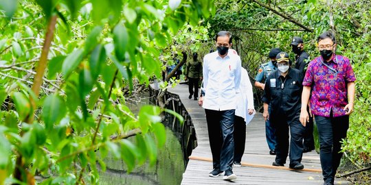 CEK FAKTA: Menelusuri Klaim Pemerintah Meningkatkan Upaya Kendalikan Perubahan Iklim