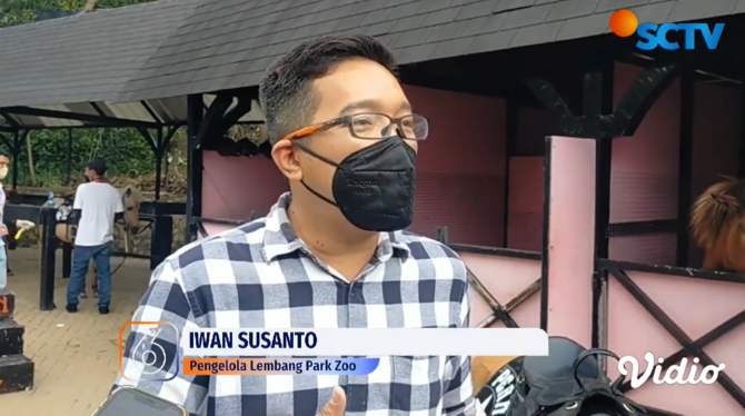 kuda terjebak banjir di lembang park zoo