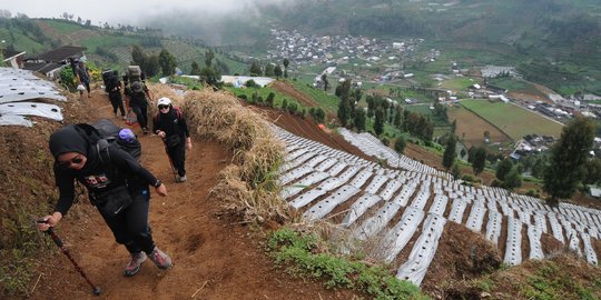 Usai Penurunan Level PPKM, Gunung Prau Kembali Ramai Dikunjungi Pendaki