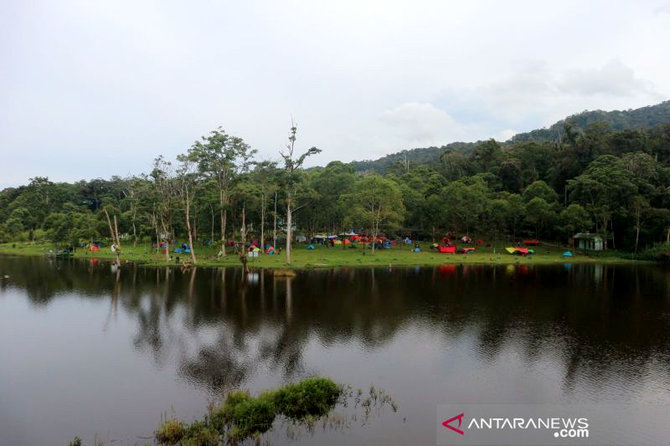 melihat wisata pengamatan burung endemik di taman nasional lore lindu poso