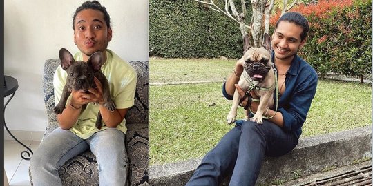 Intip Momen Giorgino Abraham 'Love Story The Series' Main Bareng Anjing Peliharaan