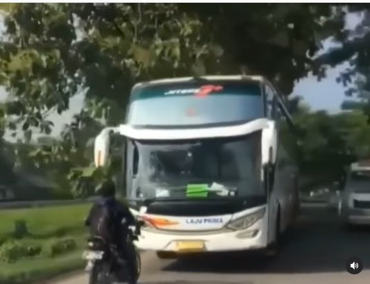 viral video seorang pemotor mengadang bus yang melawan arah di sragen