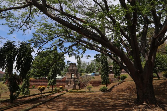 candi jedong