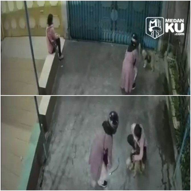 viral pencurian anjing peliharaan terekam cctv warganet malah soroti ini