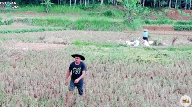 kisah bule pilih jadi petani dan peternak bebek