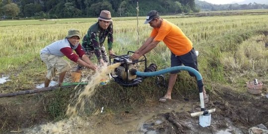 Kualitas dan Kuantitas Panen Petani di Sumsel Turun akibat Perubahan Cuaca