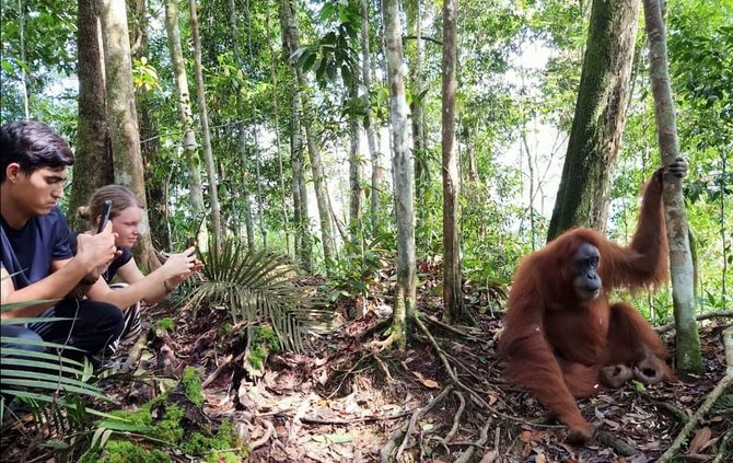 wisata alam seru paket lengkap ini 5 potret bukit lawang yang memesona