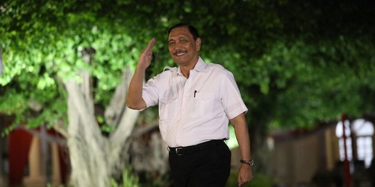 Presiden Jokowi Bentuk Tim Percepat Investasi UEA, Komandannya Luhut Pandjaitan