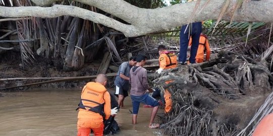 Petambak Tewas Diterkam Buaya di Perairan Mangkudulis Kaltara