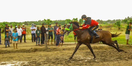 Balap Kuda Tradisional Jeneponto, Hiburan Rakyat Sejak Zaman Kerajaan Gowa