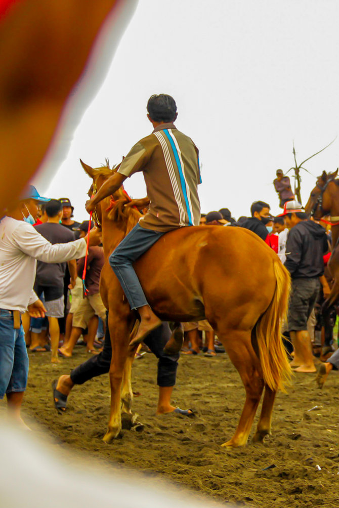 balap kuda tradisional jeneponto