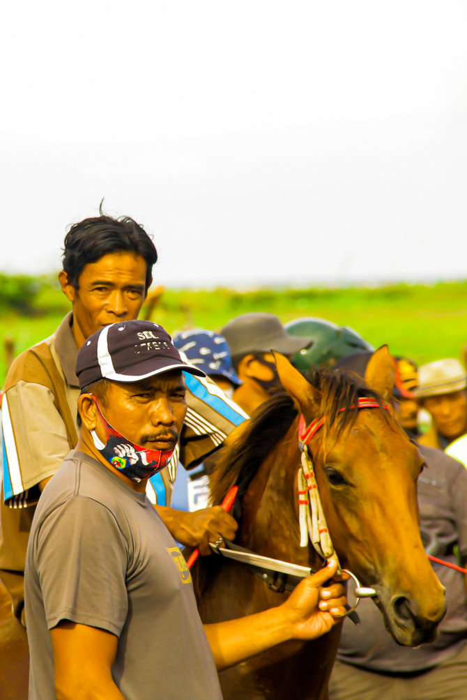 balap kuda tradisional jeneponto