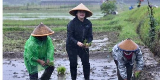 Ramai-Ramai Sindir Aksi Puan Maharani Tanam Padi di Bawah Guyuran Hujan