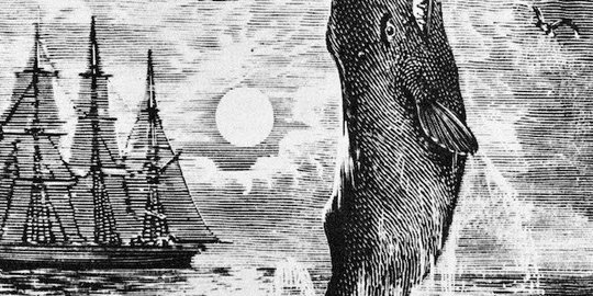 14 November: Publikasi Pertama Novel Moby Dick di US, Legenda Sastra Klasik Dunia