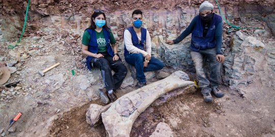 Penemuan Kerangka Dinosaurus Spesies Baru di Brasil