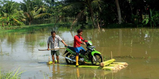 Puluhan Hektar Lahan di Tulungagung Terendam Banjir, Begini Dampaknya