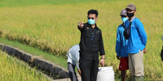 Petani Karawang Diminta Terapkan Tiga Kali Panen oleh Mentan, Ini Tujuannya