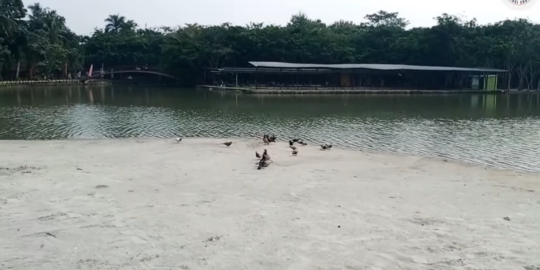 Viral Ada Pantai Pasir Putih di Kabupaten Bogor, Ini Potret Uniknya